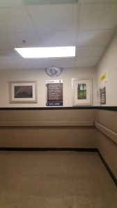 Lexington VA - Musculoskeletal​ consultation - - It Could Be Worse Blog