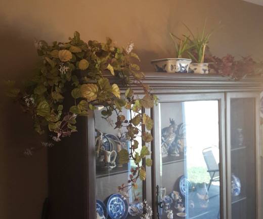 15044669_10157657919025246_32549693_o