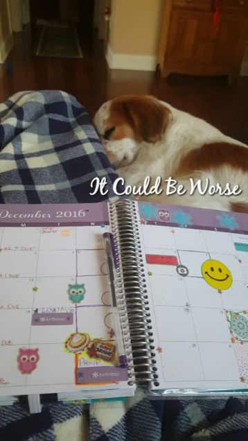 The Week In Between - It Could Be Worse