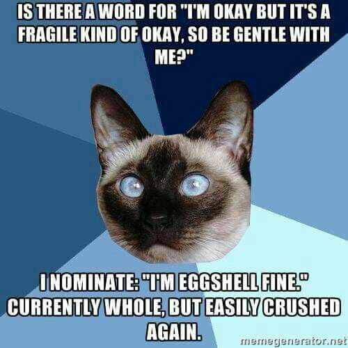 28c07141fd31fb7361c3c69a91aa89cb