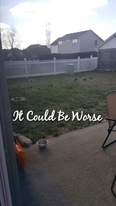 Eggshell Days - It Could Be Worse Blog