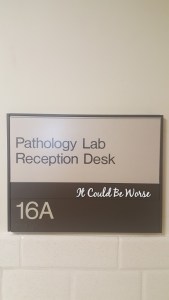 Blood Work and Birthdays