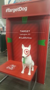 Seeing All of the Doctors - Another Month in My Crohn's Journey