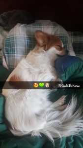 Seeing All of the Doctors - Another Month in My Crohn's Journey