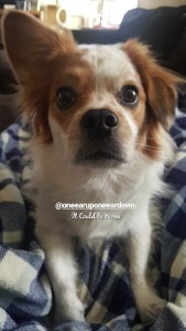 Work and Scheduling Appointments - It Could Be Worse Blog - Mary Horsley and Bilbo Baggins