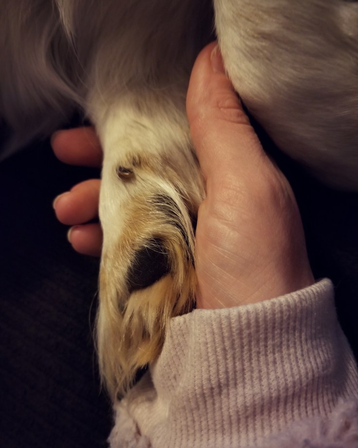 Stelara Infusion & Ganglionectomy Pain - It Could Be Worse - Mary Horsley