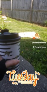 May Delays | It Could Be Worse Blog | Mary Horsley Bilbo Baggins