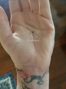 One Step Forward, Two Steps Back | IT COULD BE WORSE BLOG