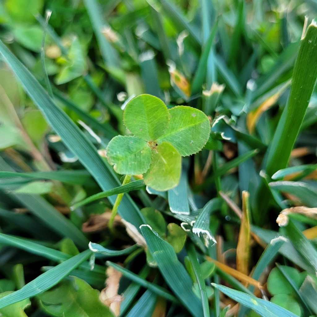 Goodbye 2020, Hello 2021